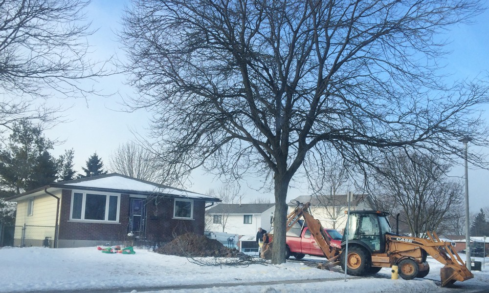 The Big Dig The Big Dig